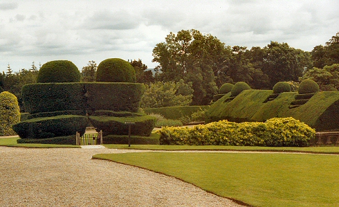 Crathes Castle - Gardens