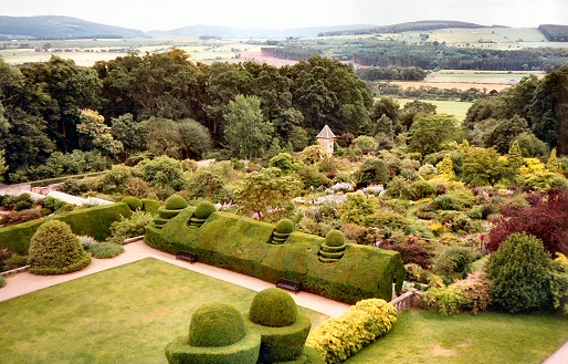 Crathes Castle - Gardens